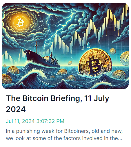 Bitcoin Briefing 11 july